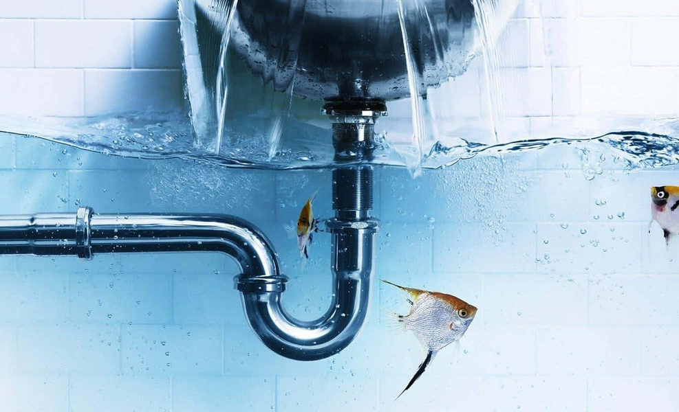 Cover photo of Ruan's Plumbing & Maintenance